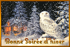 Gif animé bonne soirée d'hiver